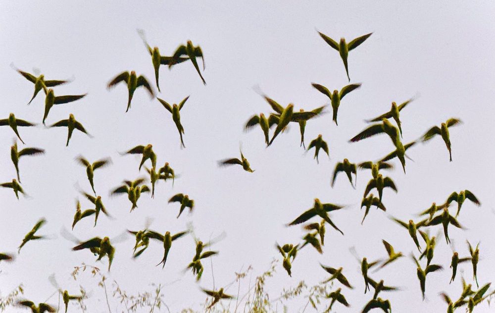 Photograph by zeinab mokhtari