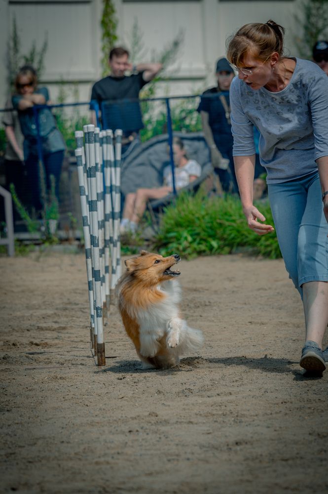 Фотография автора Виталий Гавронский