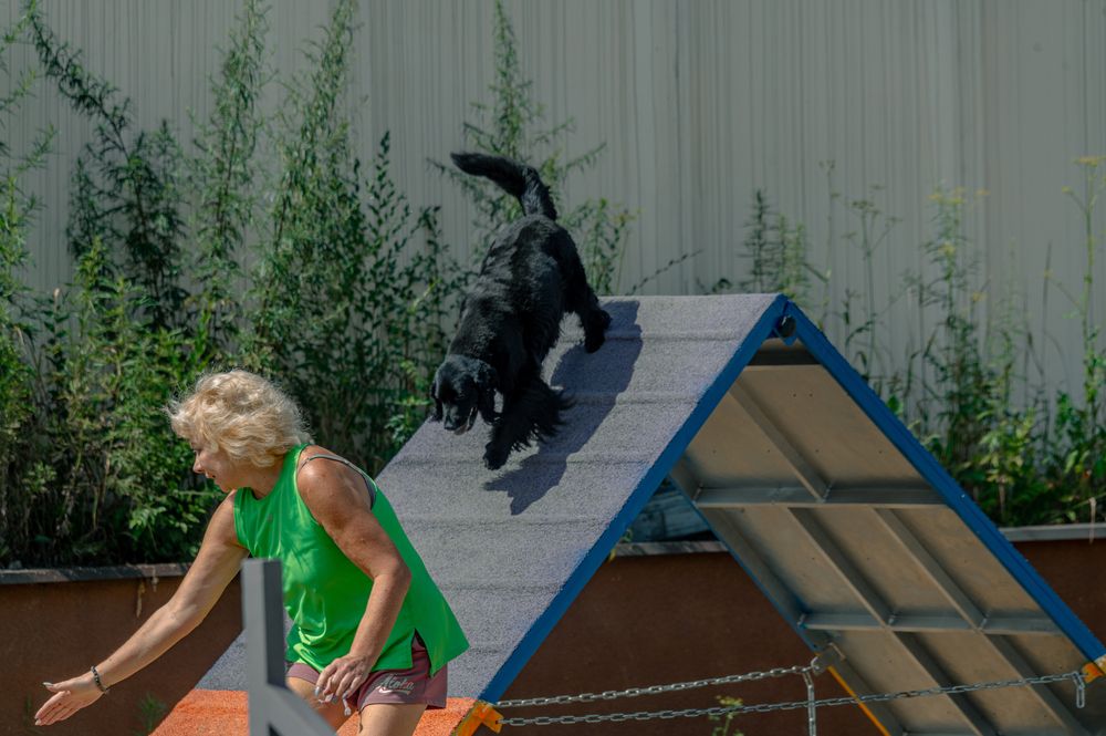 Фотография автора Виталий Гавронский