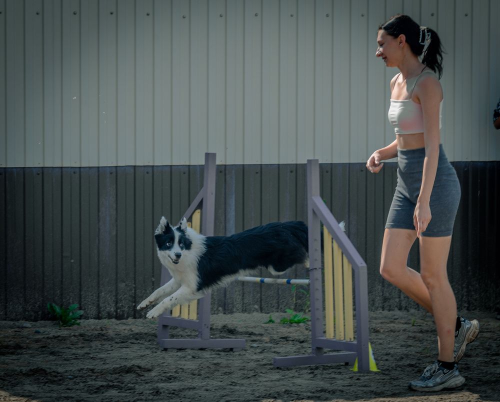 Фотография автора Виталий Гавронский