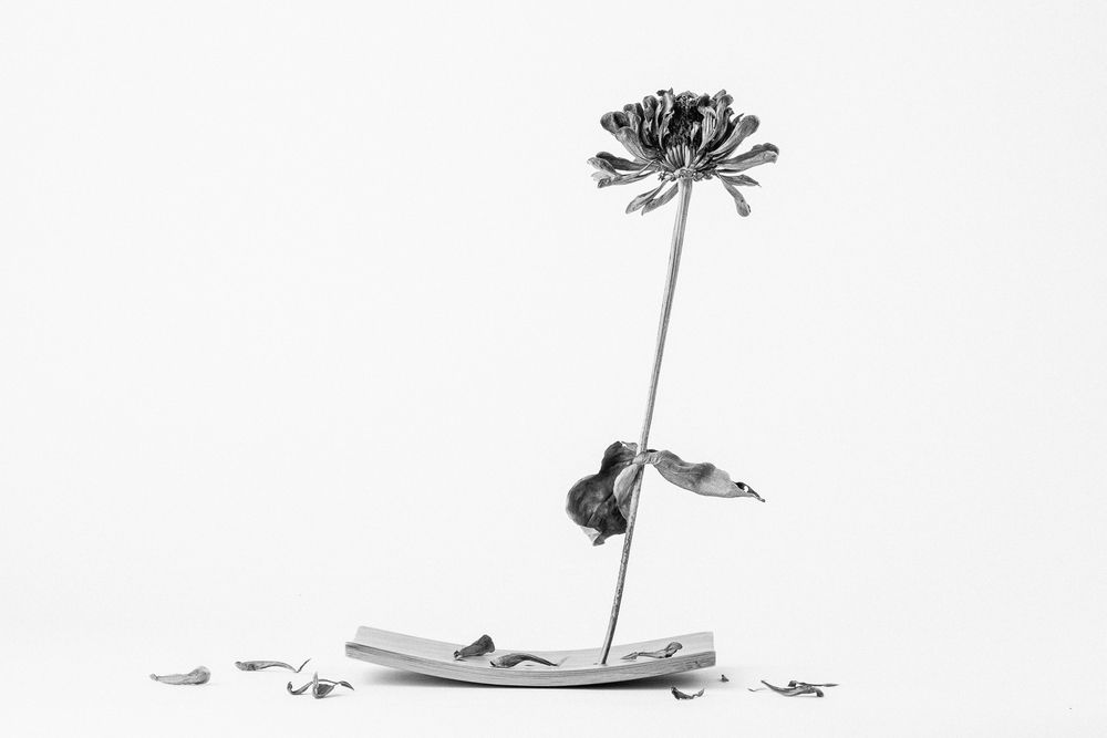 Photograph by Ольга Козлова