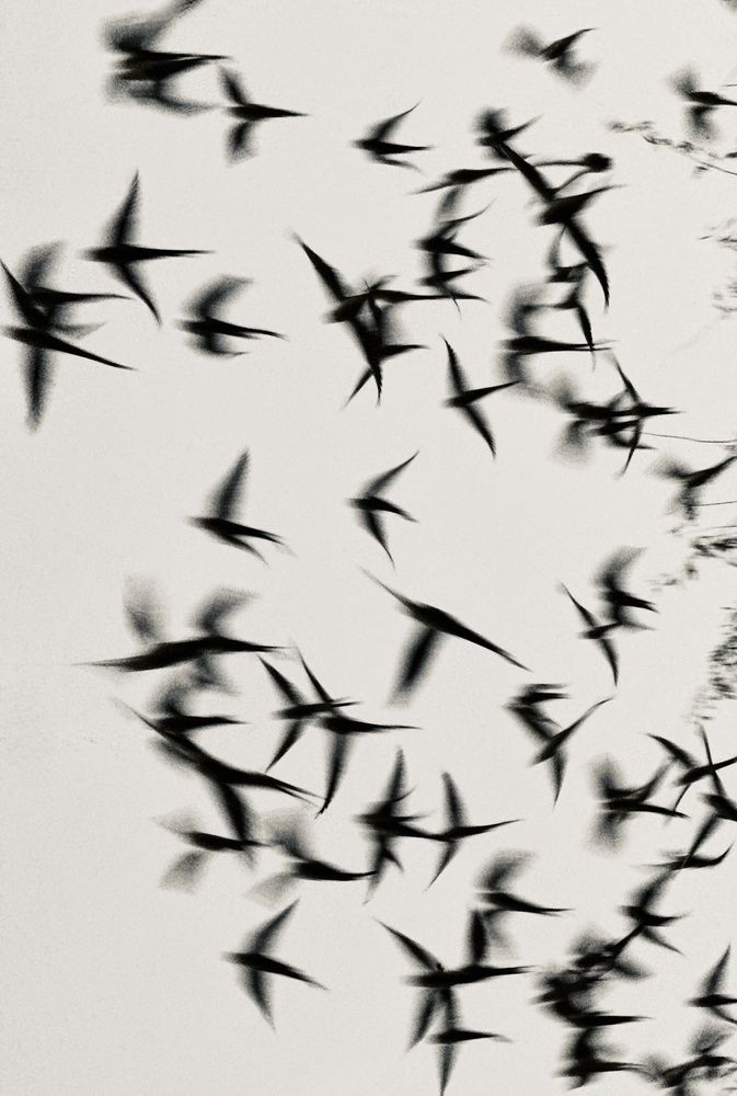 Photograph by zeinab mokhtari