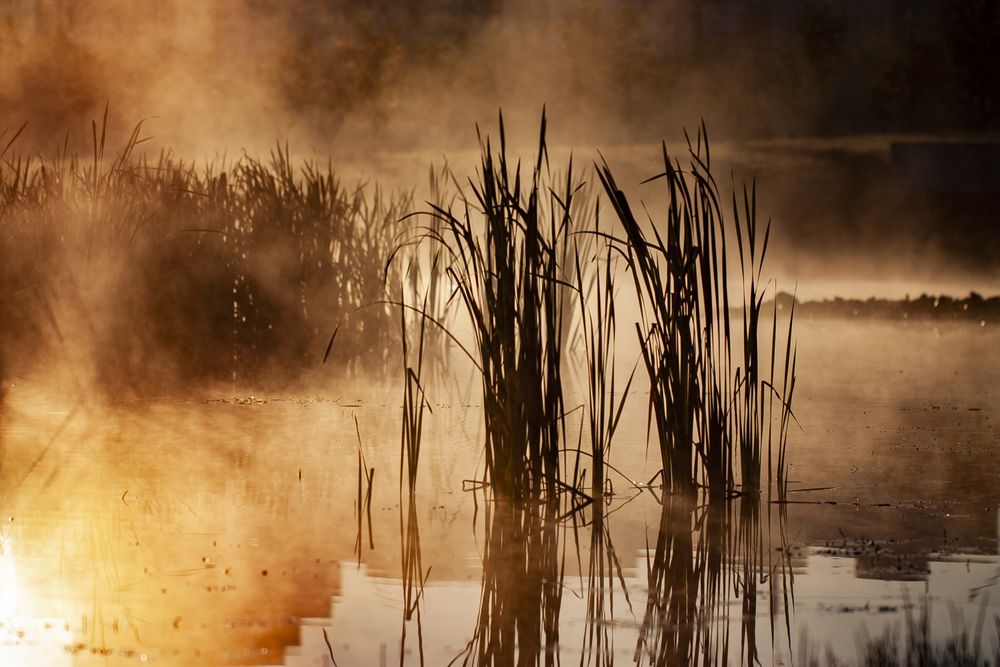 Photograph by DZMITRY