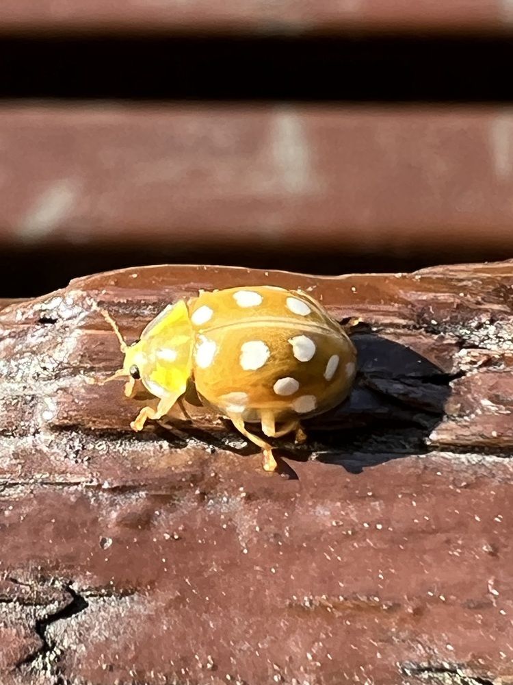 Photograph by Ирина Швейнова