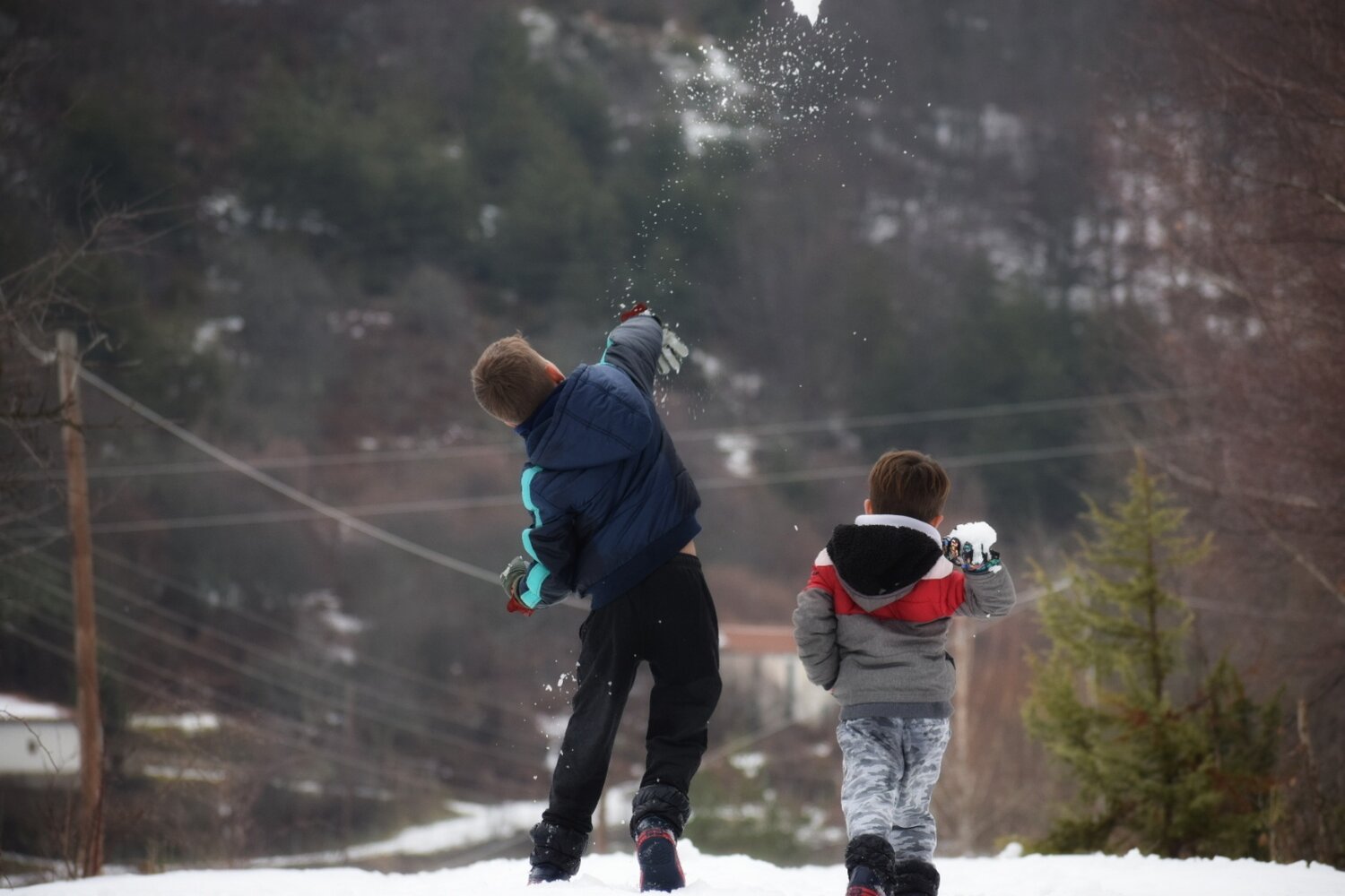 Photo #13326235