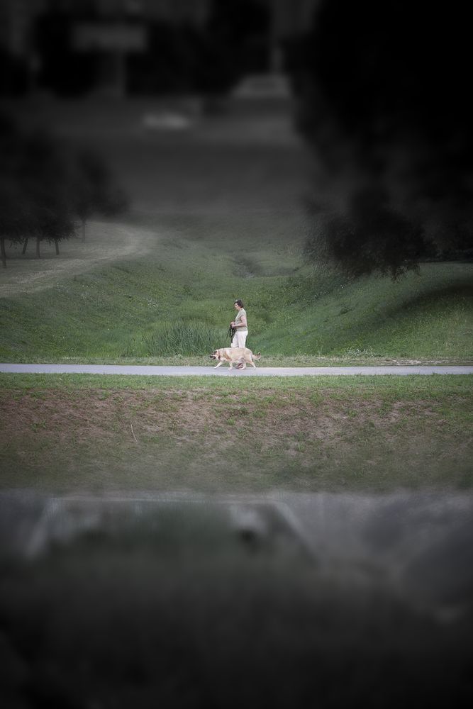 Photograph by DZMITRY