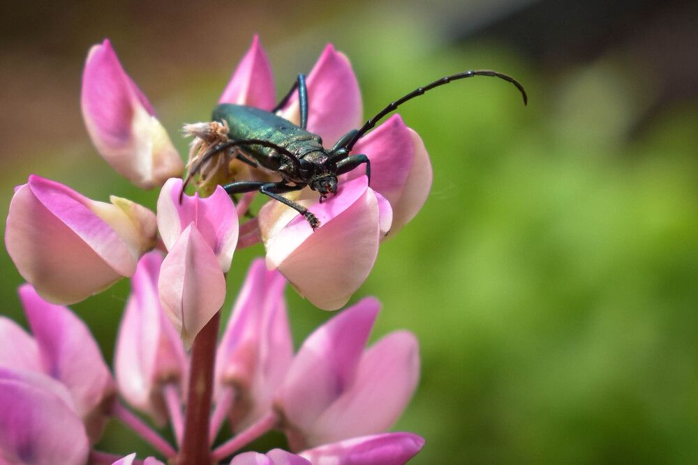 Photograph by Татьяна Хорошун