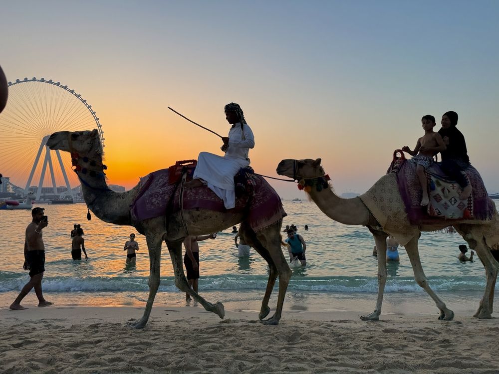 Photograph by Valentina Acrement