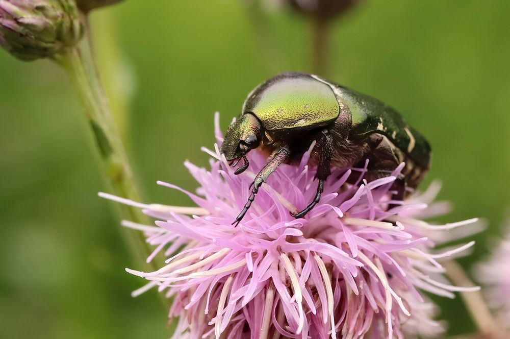 Photograph by Валентина Куренкова