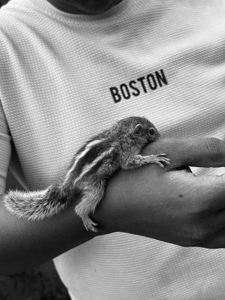 Photograph by K.AKILA NIDUSH