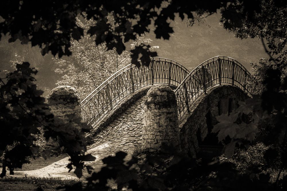 Photograph by Максим Ковалёв