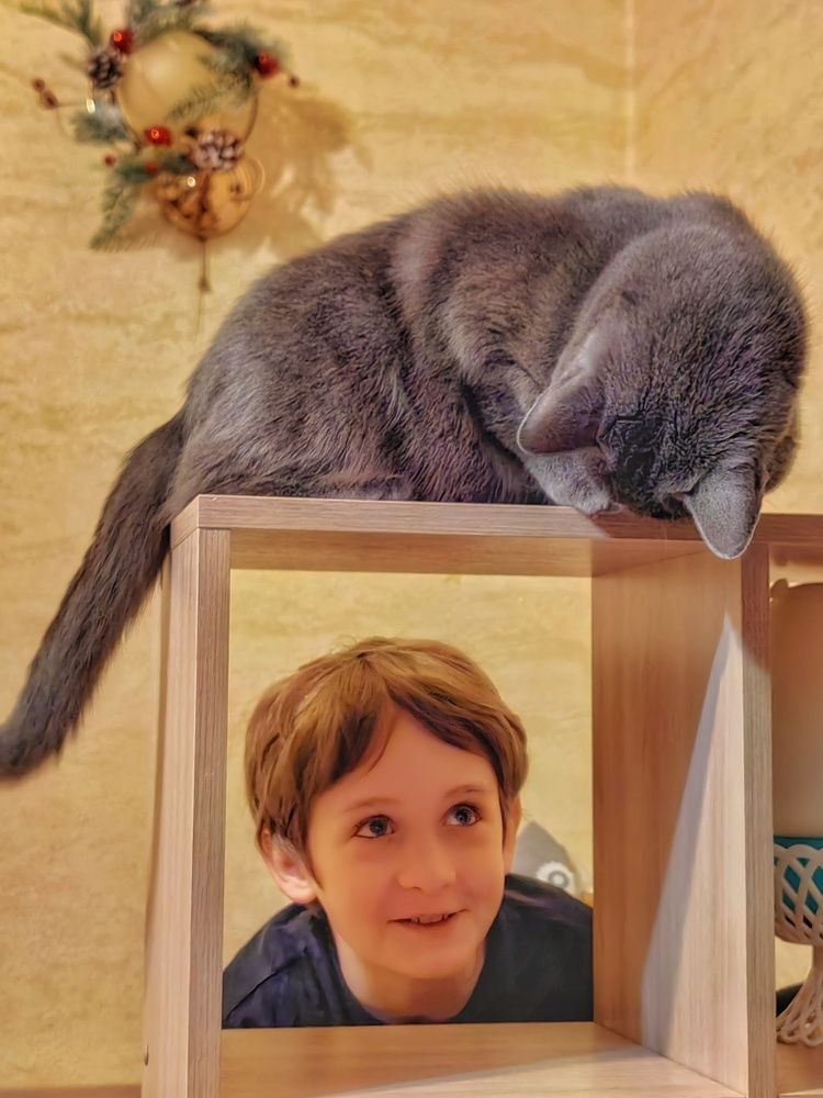 Photograph by Анастасия Кременчугская