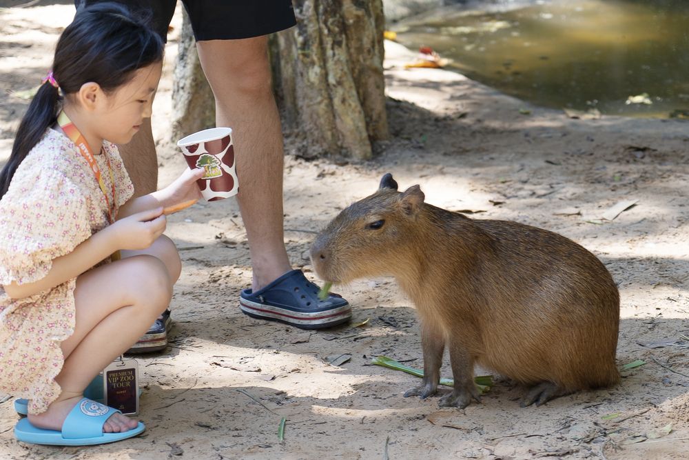 Photograph by Екатерина Караваева