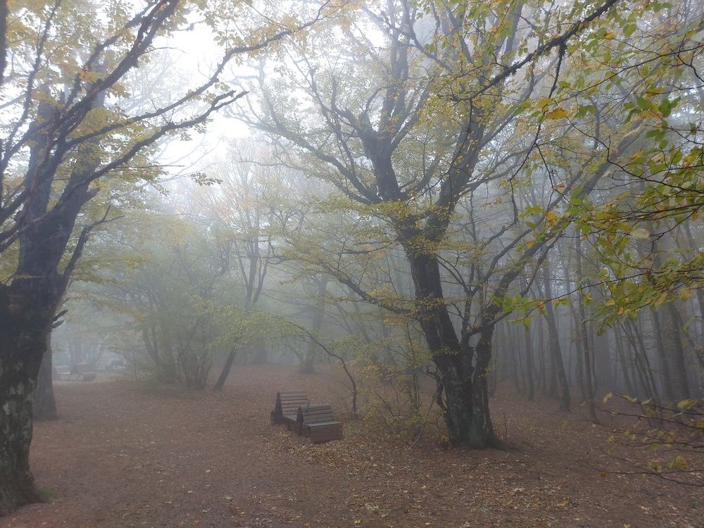 Photograph by Юлия Дурнева