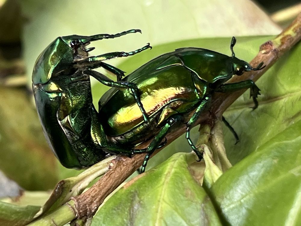 Photograph by Eleni Christogianni