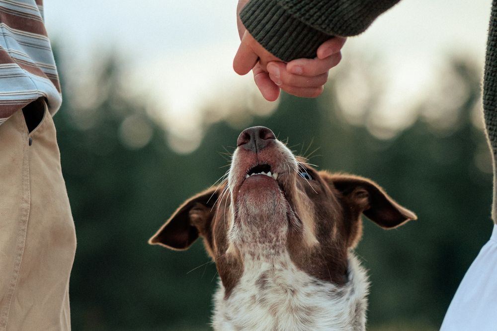 Photograph by Алёна Губинская