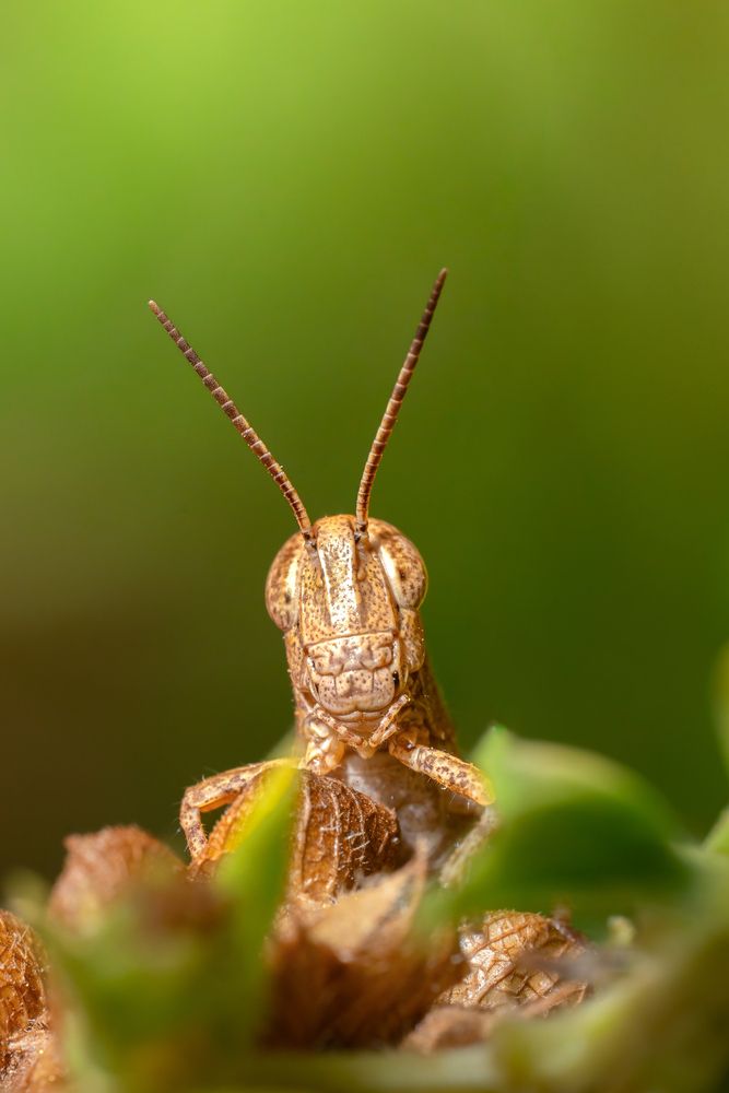 Фотография автора Hassane Rafik