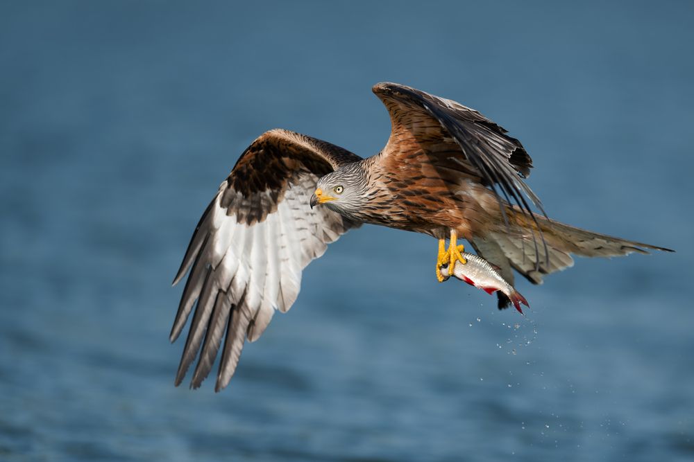 Photograph by Ruzhdi Ibrahimi