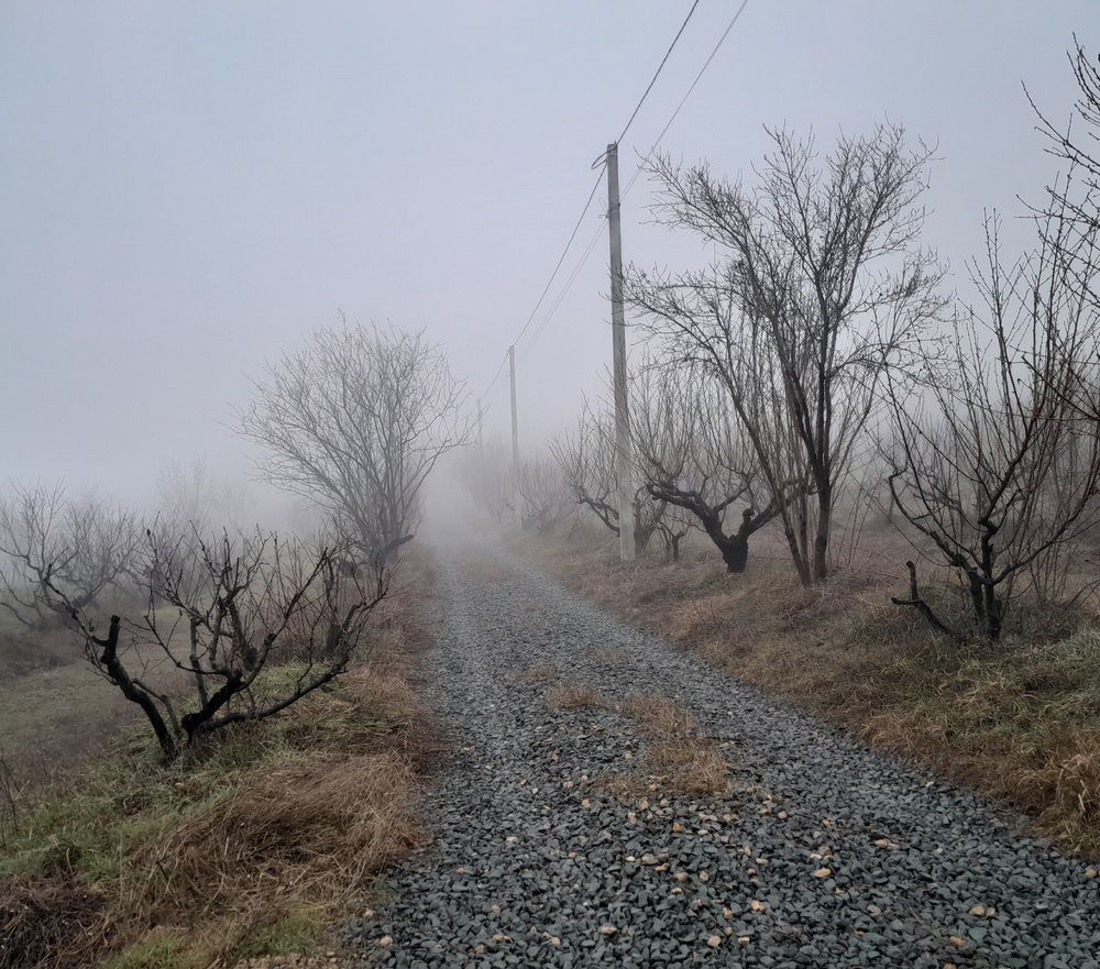 Фотография автора Татьяна Ситникова