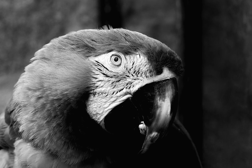 Photograph by Владимир Лобанов