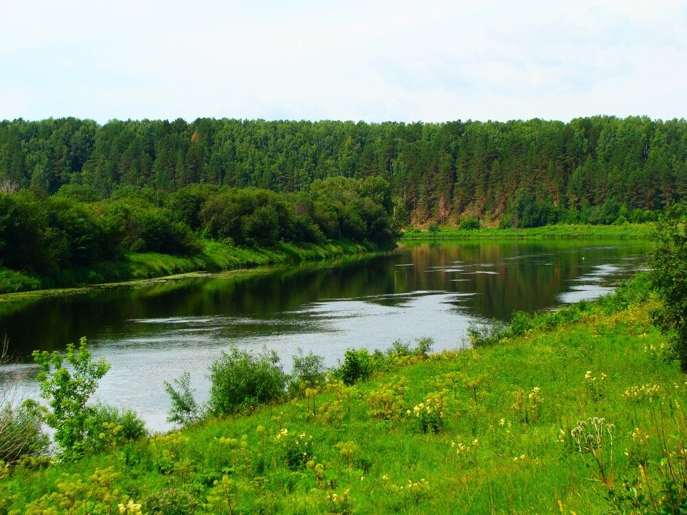 Фотография автора Николай Худяков