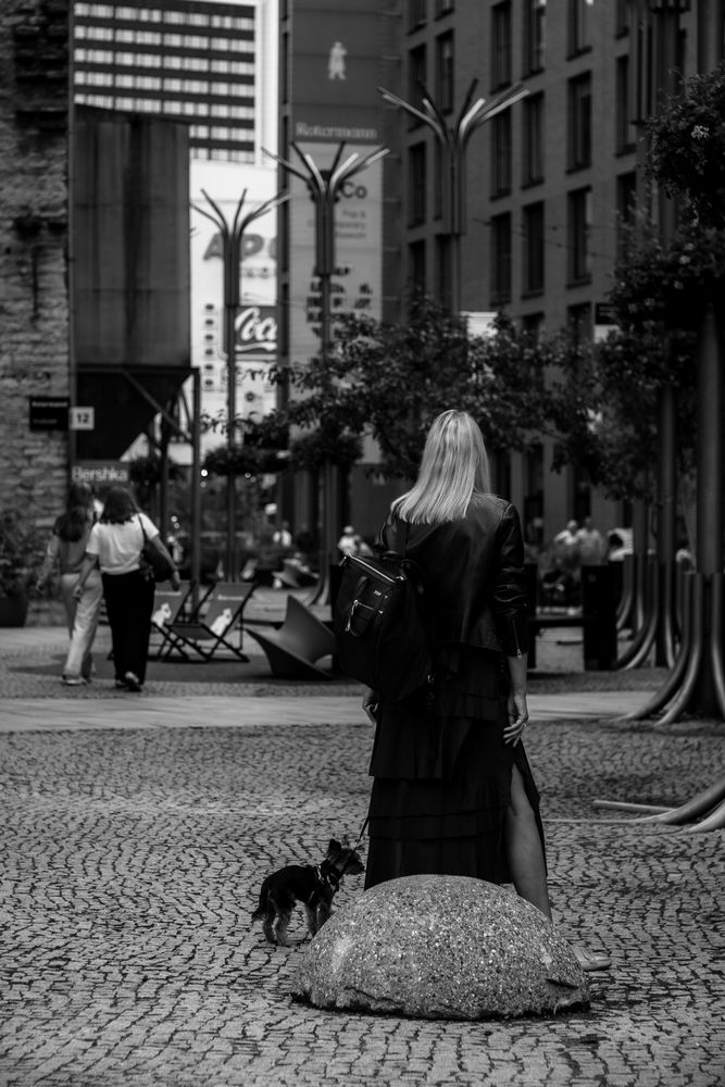 Фотография автора Nikolay Surovtsev