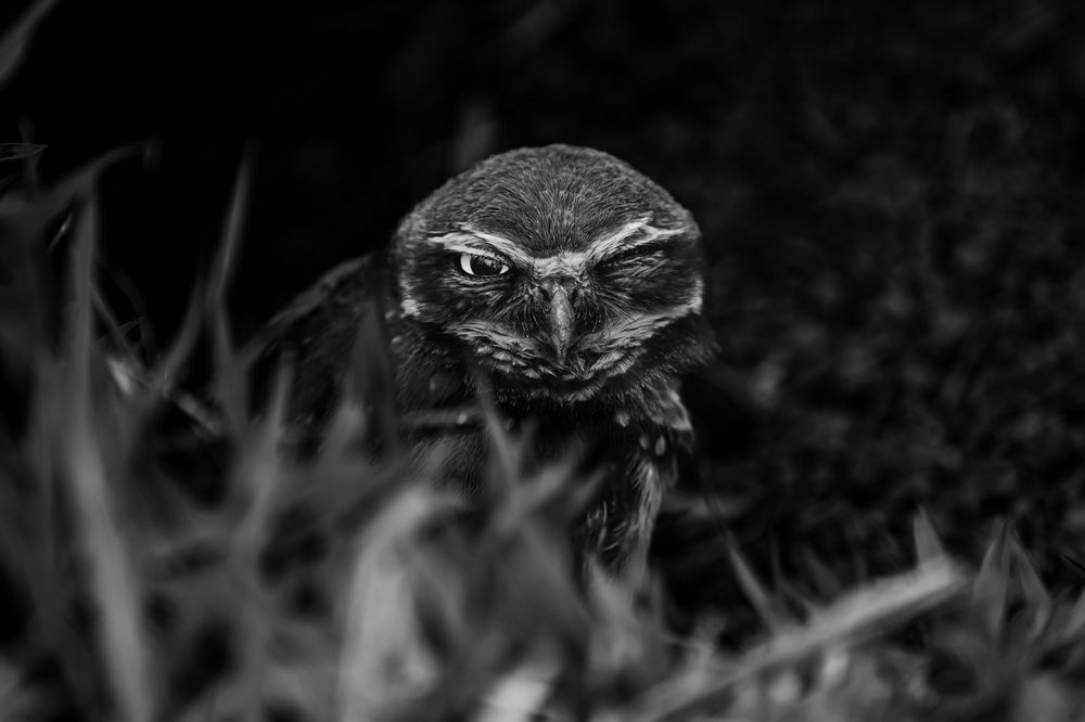Photograph by Lara Amaral