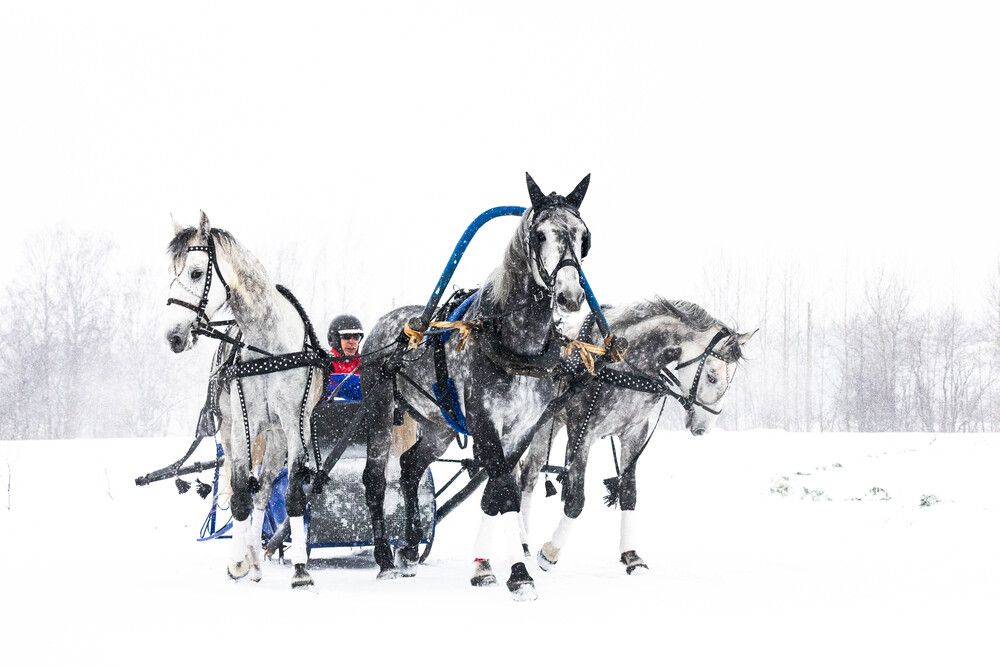 Photograph by Svetlana Porokhovnikova