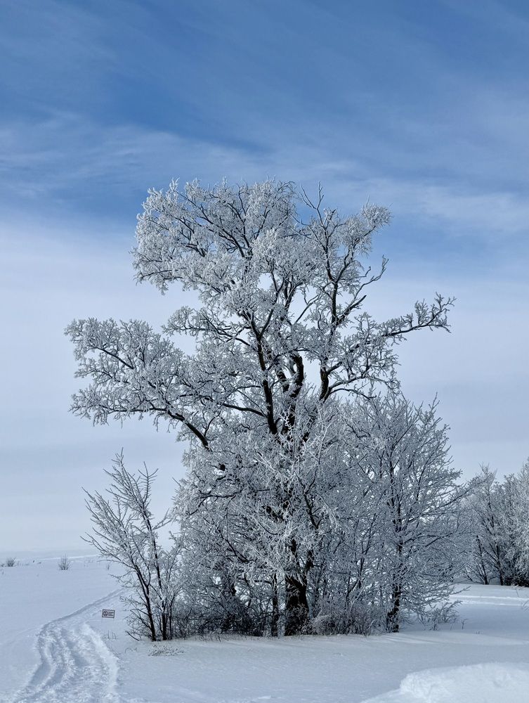 Photograph by Julia Andreeva