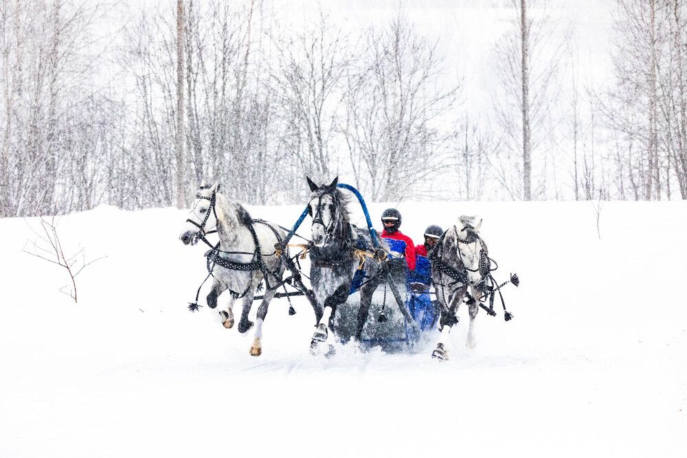 Photograph by Svetlana Porokhovnikova