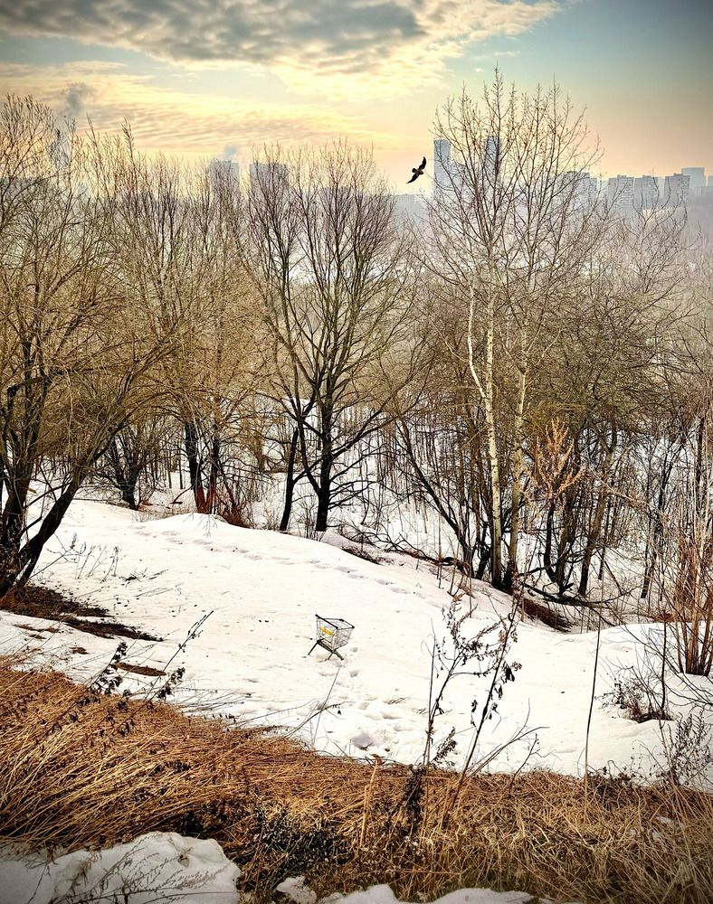 Photograph by Светлана Поляничева