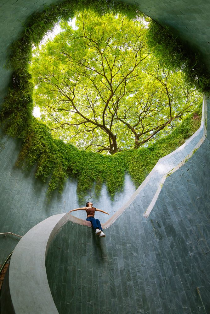Фотография автора Tran Minh Dung