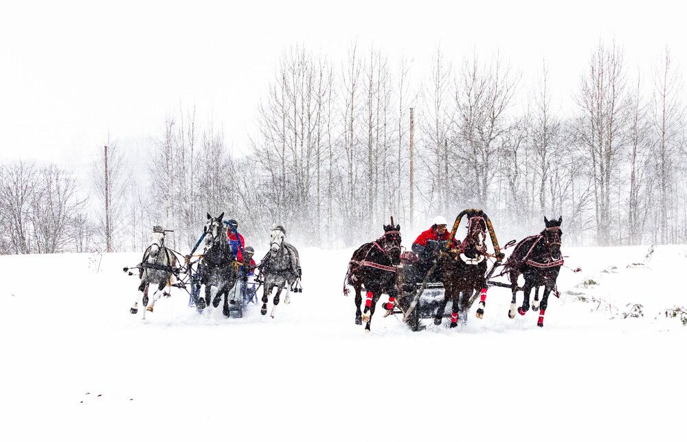 Photograph by Svetlana Porokhovnikova