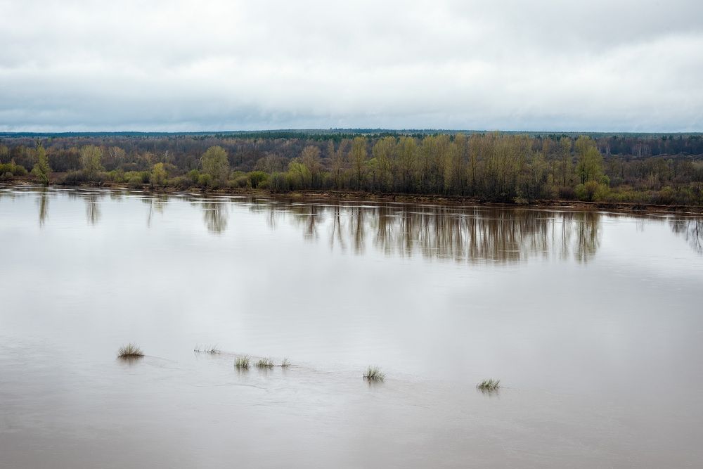 Фотография автора Юлия Морозова