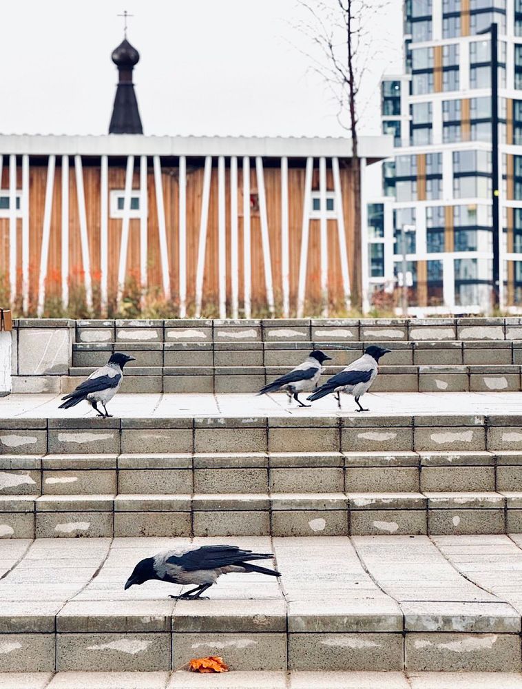 Photograph by Светлана Поляничева