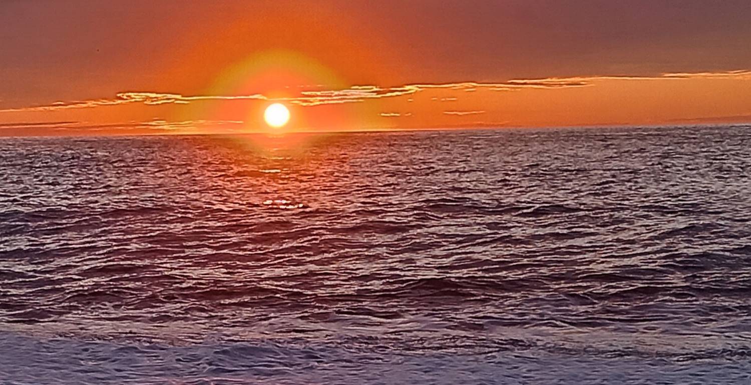 Фотография #13326966