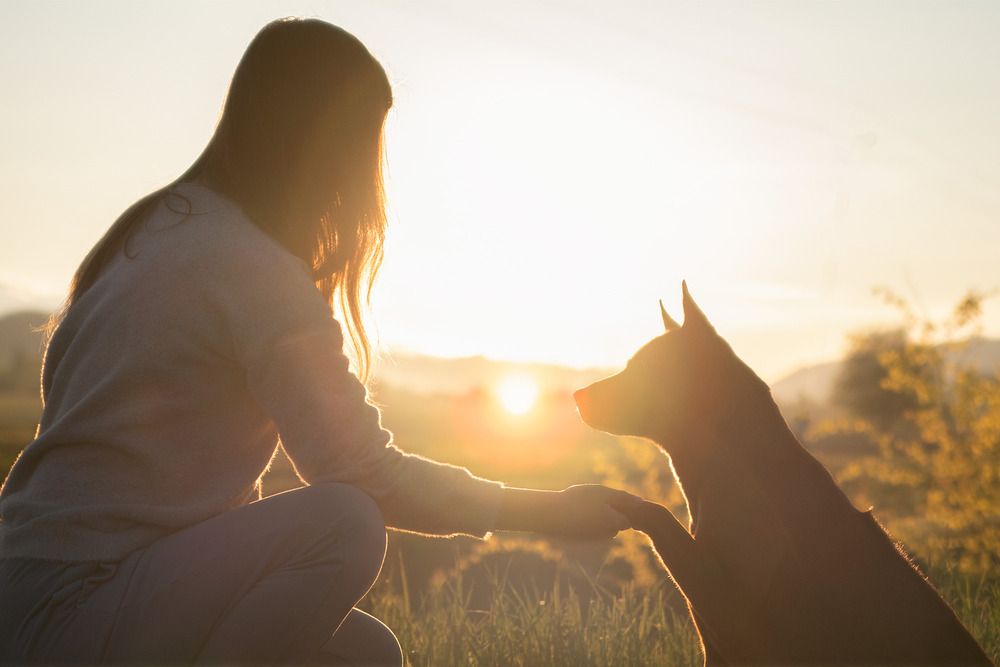 Фотография автора Sofiia Lapta