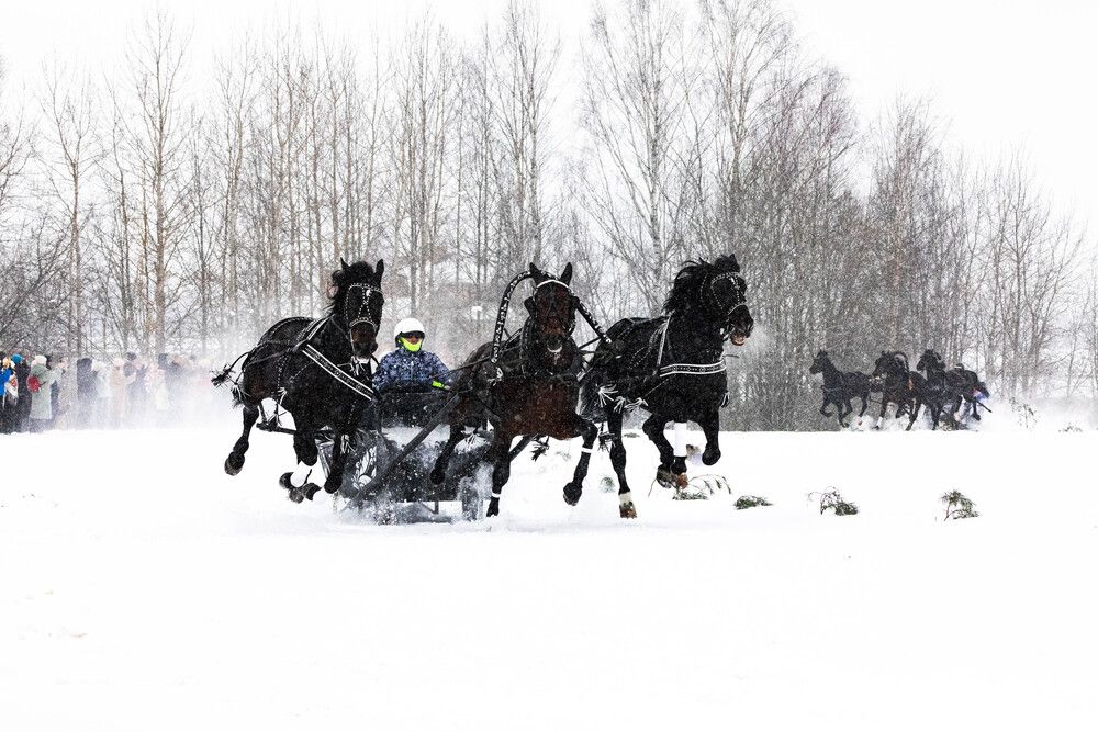 Photograph by Svetlana Porokhovnikova