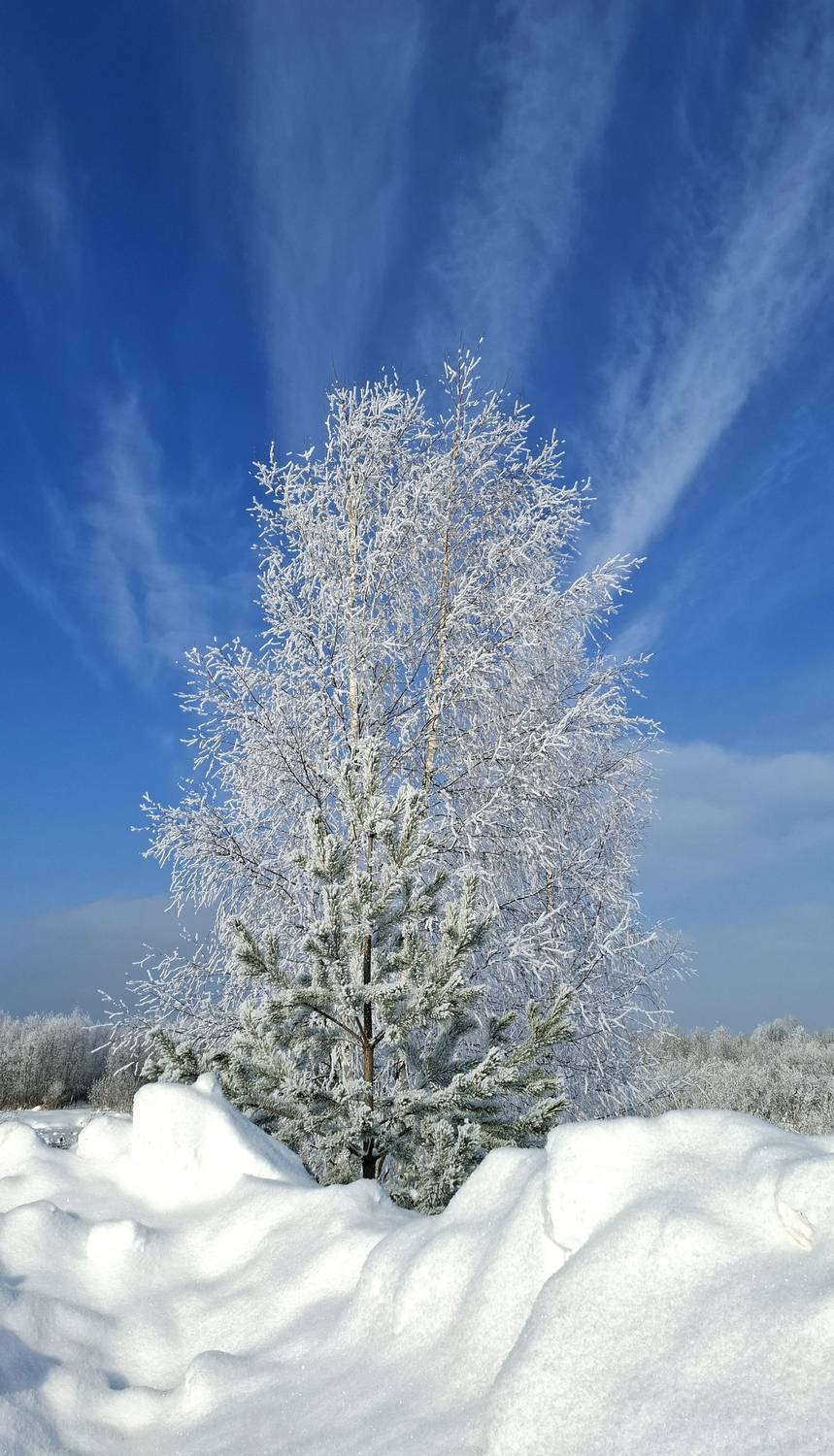 Солнечный февраль
