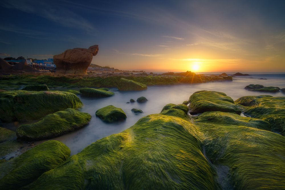 Фотография автора Tran Minh Dung