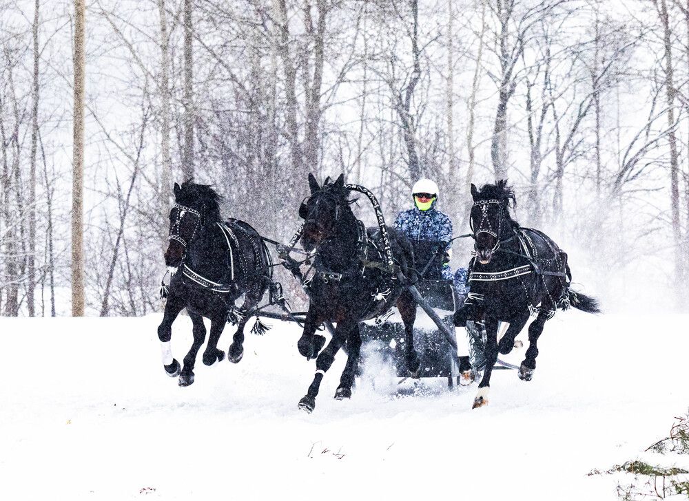 Photograph by Svetlana Porokhovnikova
