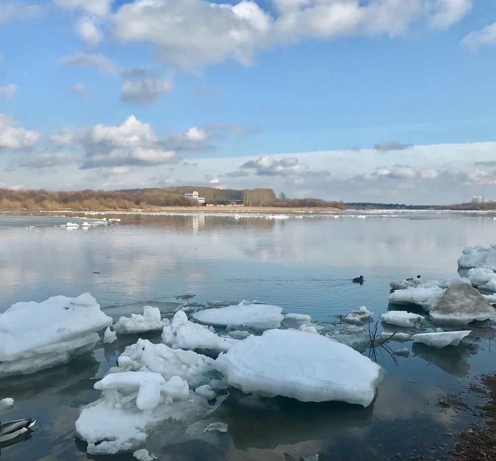 Фотография автора Татьяна Гурина