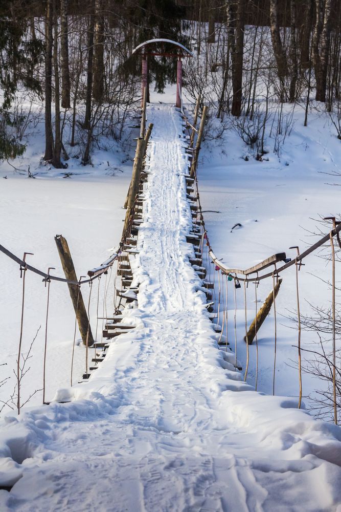 Photograph by Алексей Соколов