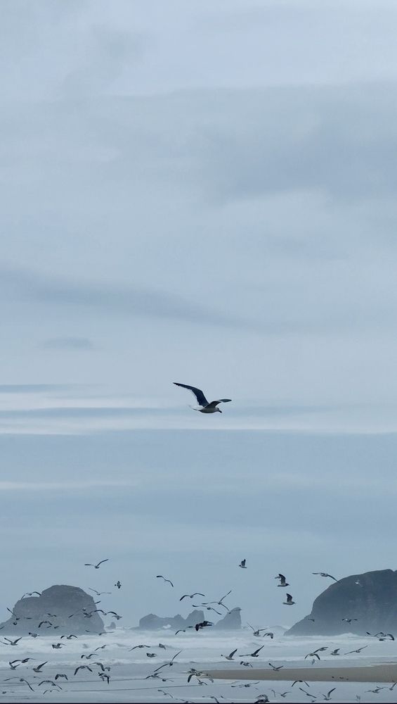 Photograph by Виктория Кузнецова