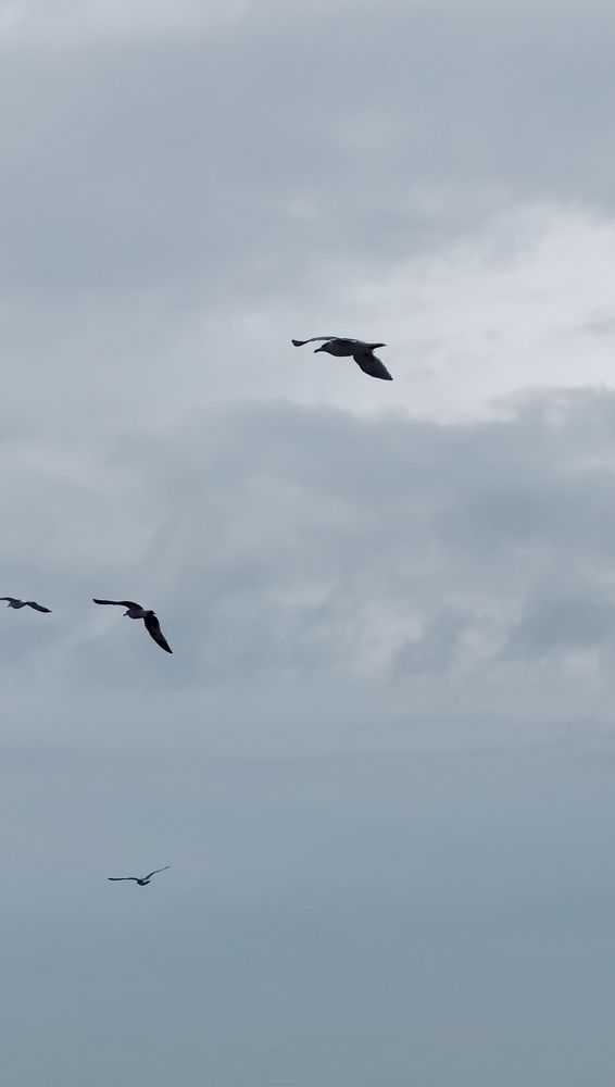 Photograph by Виктория Кузнецова