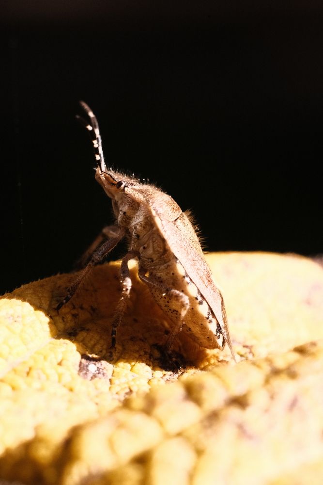 Photograph by Анна Опанасенко