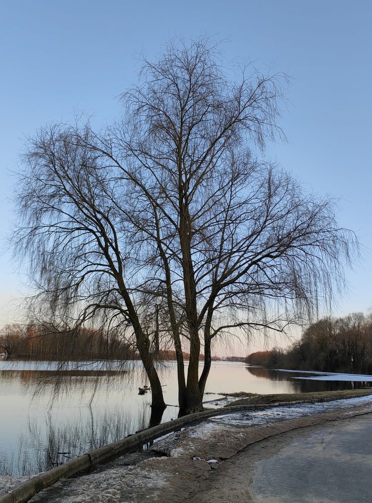 Photograph by Ульяна Кузьмина