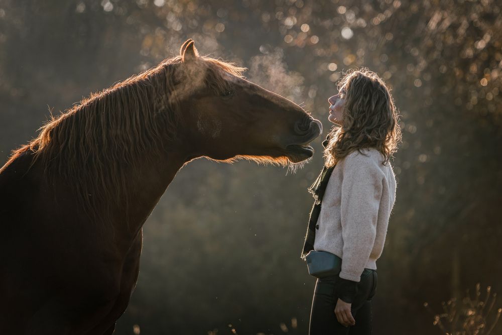 Photograph by Gubina Anastasia