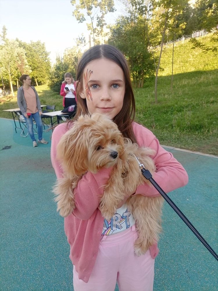 Знакомство девочки с собачкой.