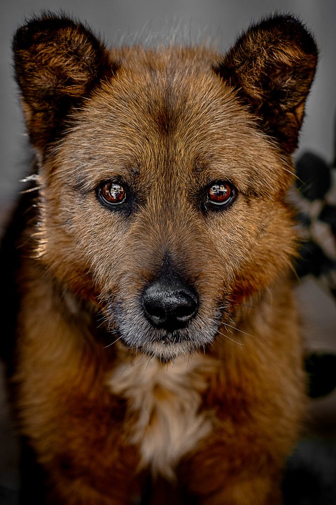 Photograph by Дмитрий Казачек